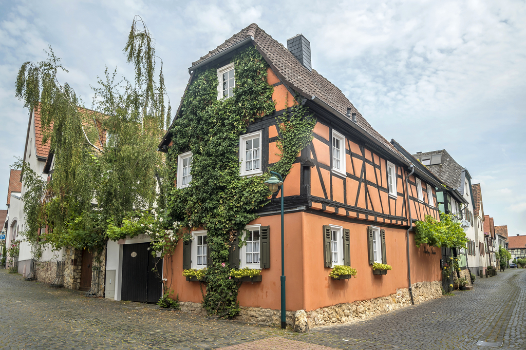 Lais Puzzle - Historische Altstadt von Hochheim am Main - 2.000 Teile p-280819