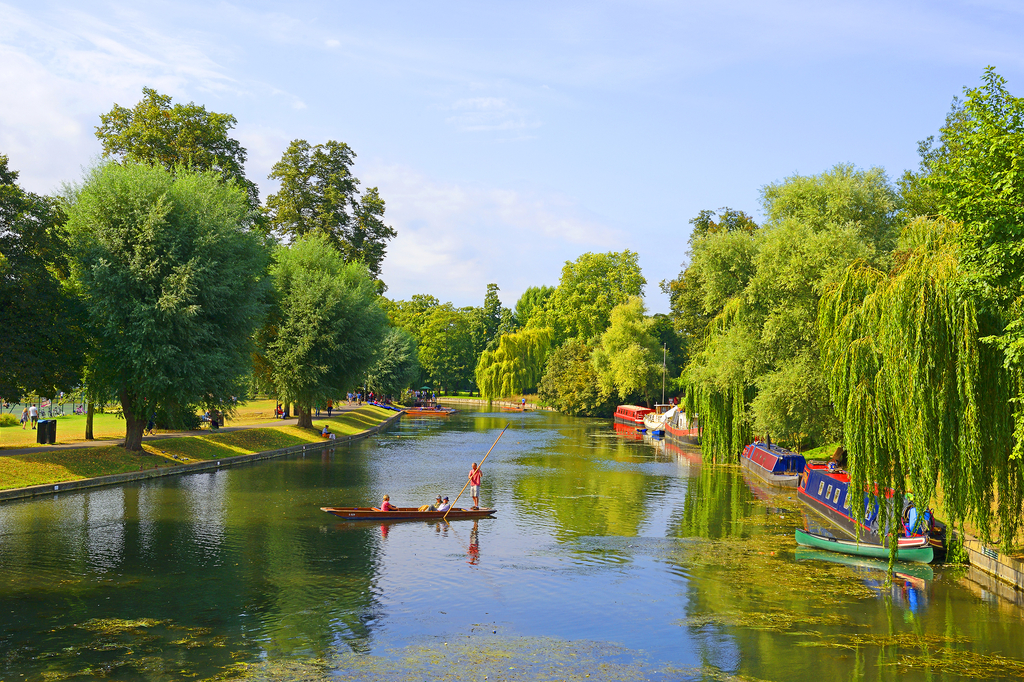 Lais Puzzle - Ein malerischer Blick über den Fluss Cam in Cambridge, England - 2.000 Teile p-280985