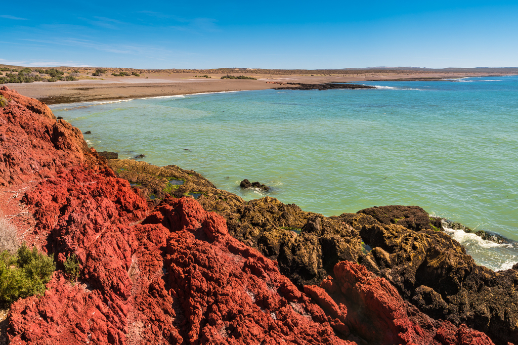 Lais Puzzle - Meeresküstenlandschaft von Punta Tombo, Patagonien, Argentinien - 2.000 Teile p-281624