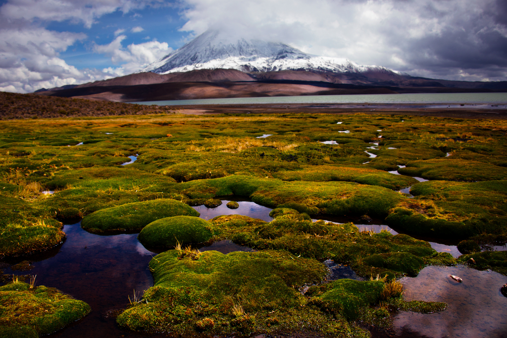 Lais Puzzle - Chile, Lauca-Nationalpark - 2.000 Teile p-281800