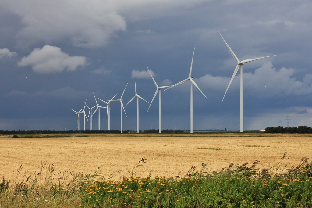 Lais Puzzle - Windpark bei Thisted, Dänemark - 2.000 Teile p-282073