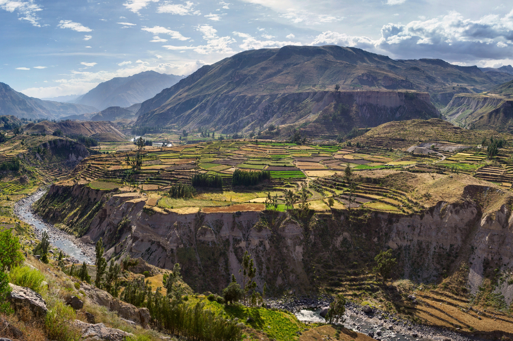 Lais Puzzle - Blick auf Terrassenfelder und den Fluss Colca im Colca Canyon im Süden Perus, im Departement Arequipa - 2.000 Teile p-282610