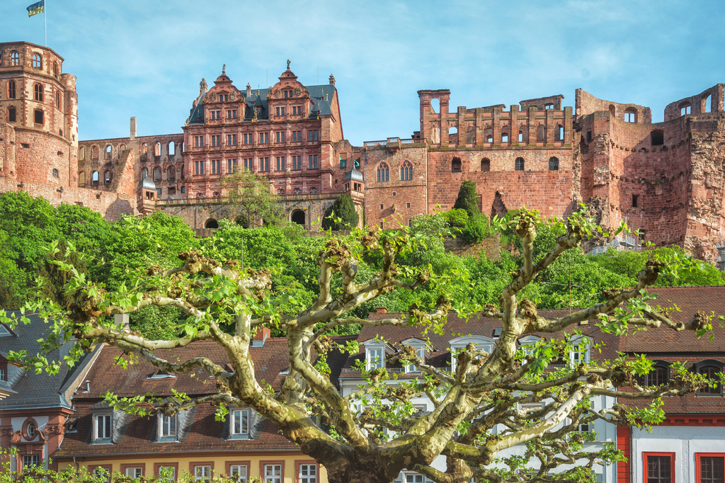 Lais Puzzle - Heidelberger Schloss - 2.000 Teile p-282776