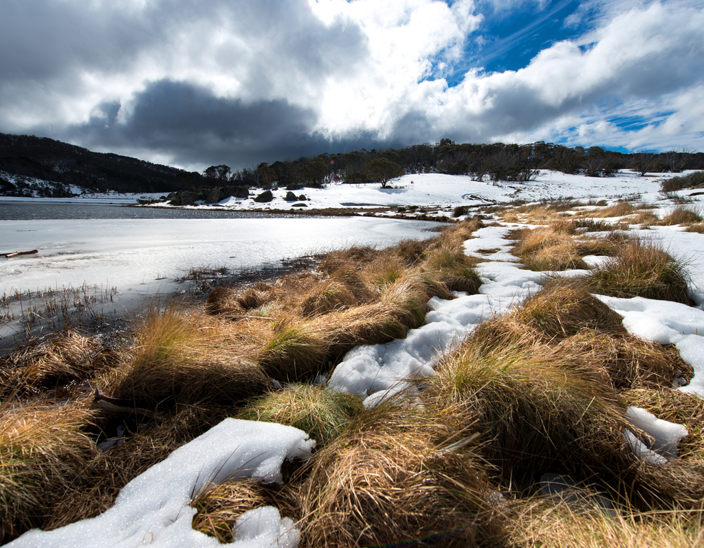 Lais Puzzle - Schneeberge im Kosciuszko-Nationalpark, Australien - 40, 100, 200, 500, 1.000 & 2.000 Teile p-283909