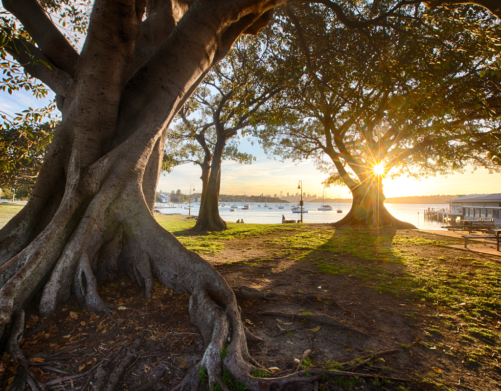 Lais Puzzle - Watsons Bay in der Nähe von Sydney, NSW, Australien - 40, 100, 200, 500, 1.000 & 2.000 Teile p-284431