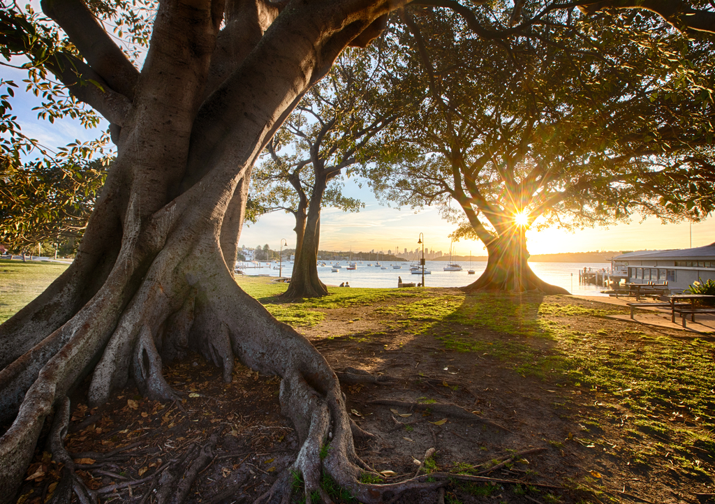 Lais Puzzle - Watsons Bay in der Nähe von Sydney, NSW, Australien - 1.000 Teile p-284435