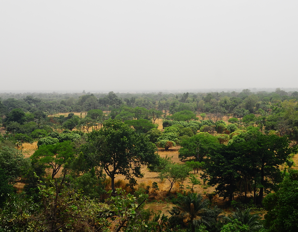 Lais Puzzle - Bauernhof in Afrique de l'Ouest (Burkina Faso) - 40, 100, 200, 500, 1.000 & 2.000 Teile p-286867