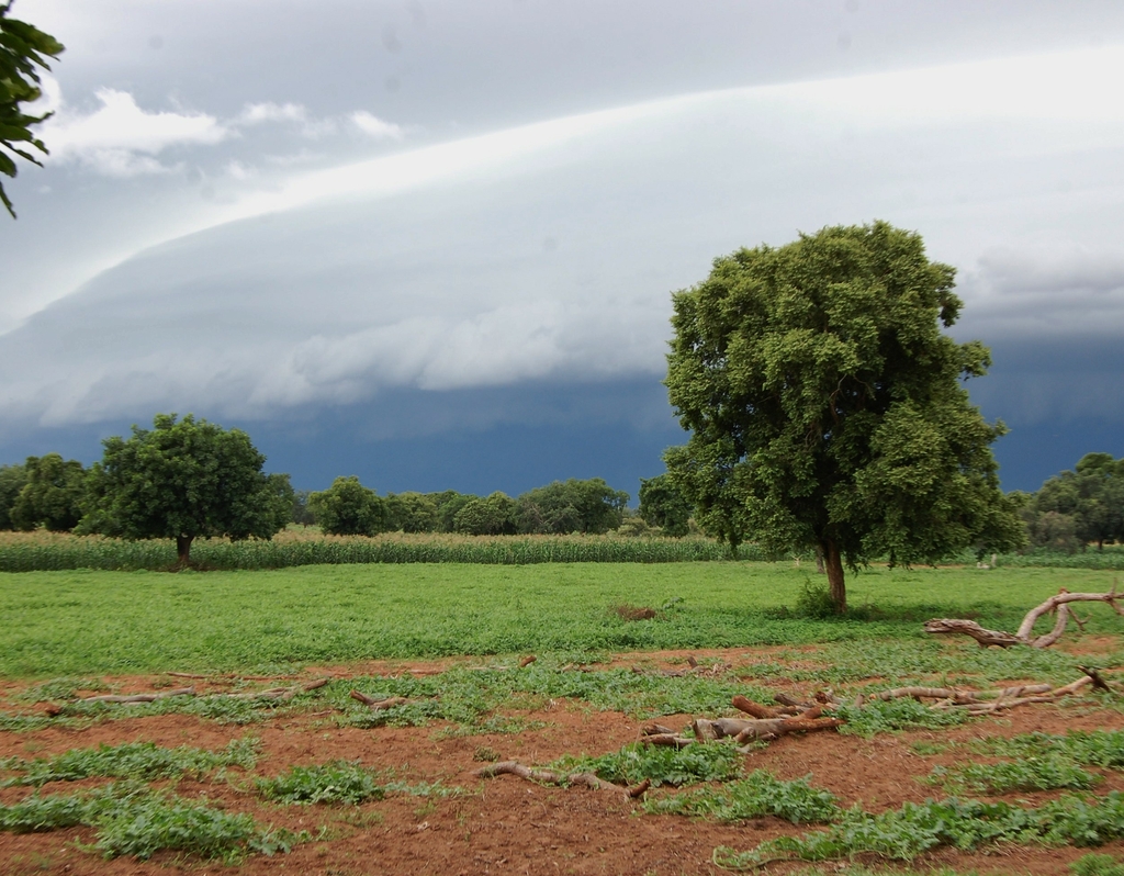 Lais Puzzle - la pluie va bientot arrosé les cultures en saison pluvieuses. U burkina faso - 40, 100, 200, 500, 1.000 & 2.000 Teile p-286879