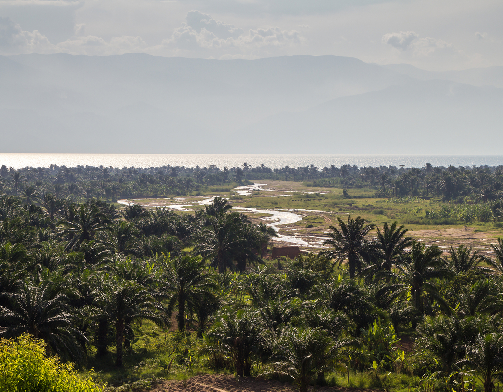 Lais Puzzle - Stanley und Livingstone - Burundi - 40, 100, 200, 500, 1.000 & 2.000 Teile p-286891