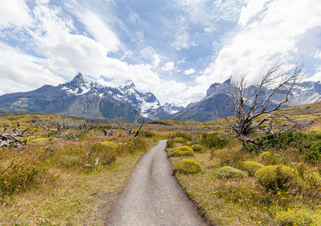 Lais Puzzle - Landschaft der "Los Cuernos" (die Hörner) - Torres del Paine National Park - 1.000 Teile p-287147