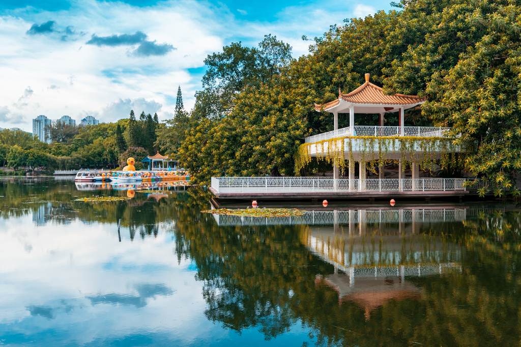 Lais Puzzle - Lizhi Park, Shenzhen Stadt, Provinz Guangdong, China - 2.000 Teile p-287430