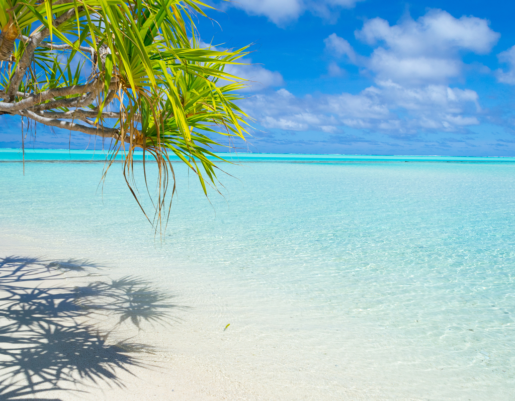 Lais Puzzle - Palmenwedel am weißen Strand und wunderschönes türkisfarbenes Wasser auf der einsamen Insel One Foot Island, Aitutaki, Cookinseln - 40, 100, 200, 500, 1.000 & 2.000 Teile p-287491