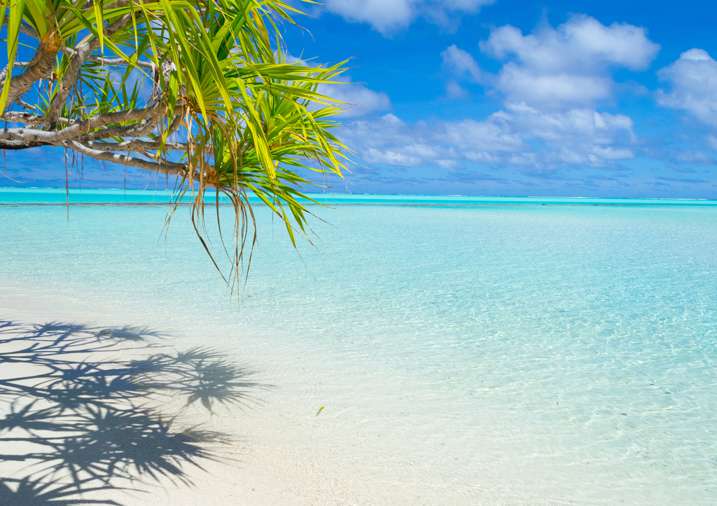 Lais Puzzle - Palmenwedel am weißen Strand und wunderschönes türkisfarbenes Wasser auf der einsamen Insel One Foot Island, Aitutaki, Cookinseln - 1.000 Teile p-287495