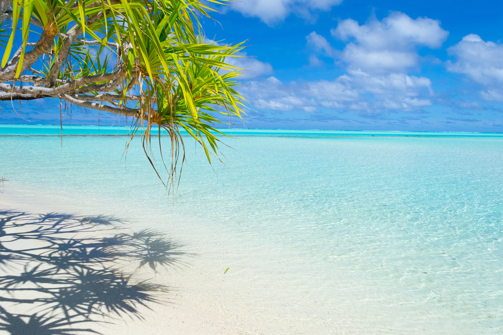 Lais Puzzle - Palmenwedel am weißen Strand und wunderschönes türkisfarbenes Wasser auf der einsamen Insel One Foot Island, Aitutaki, Cookinseln - 2.000 Teile p-287496