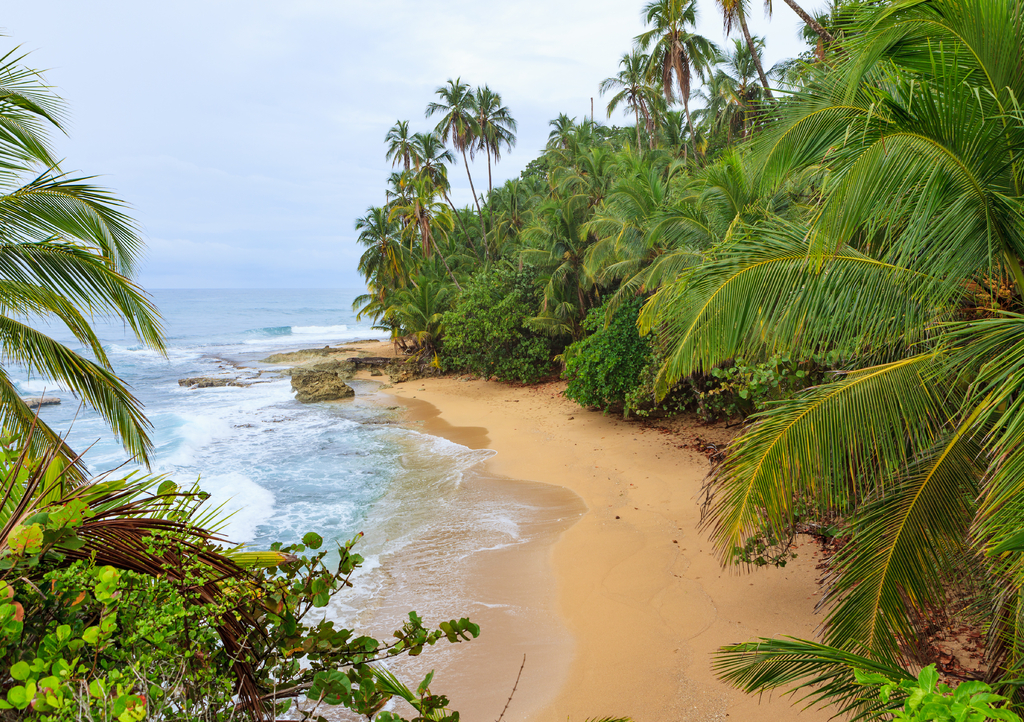 Lais Puzzle - Idyllischer Strand Manzanillo Costa Rica - 1.000 Teile p-287525