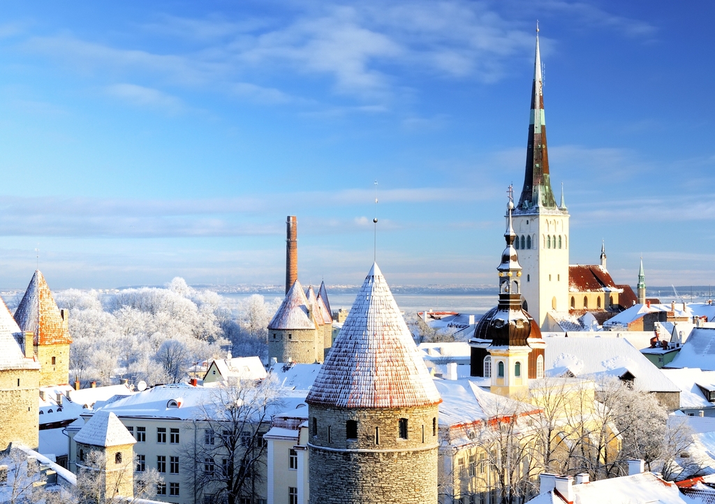 Lais Puzzle - Tallinn Stadt. Estland. Schnee auf Bäumen im Winter - 1.000 Teile p-289805