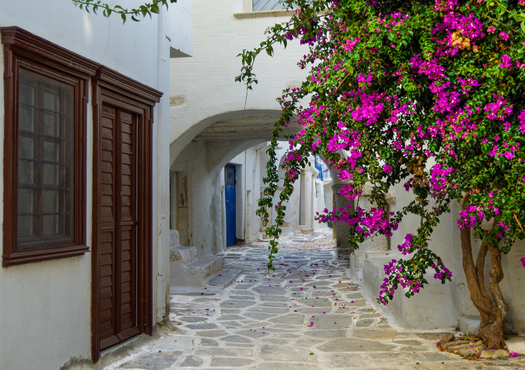 Lais Puzzle - Wundersch&ouml;ne romantische Gasse mit typisch traditionellen, wei&szlig; get&uuml;nchten griechischen H&auml;usern in Parikia auf der Kykladeninsel Paros - 1.000 Teile p-292721