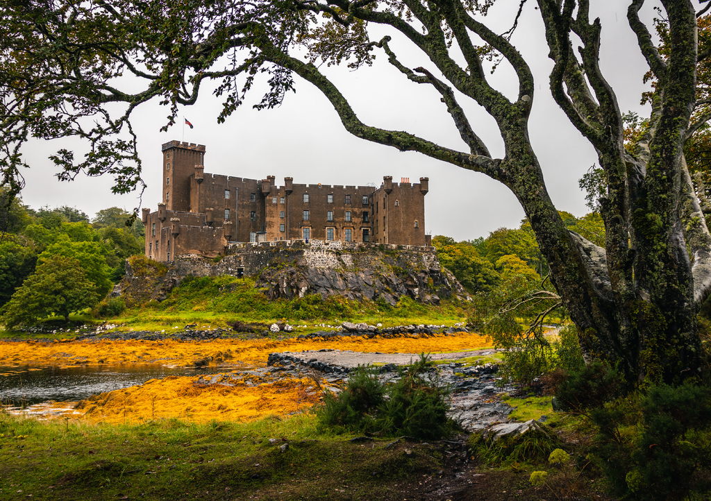 Lais Puzzle - Dunvegan Castle von den Gärten aus gesehen, mit Baumzweigen gesäumte Ansicht in Dunvegan, Isle of Skye, Schottland - 1.000 Teile p-294623