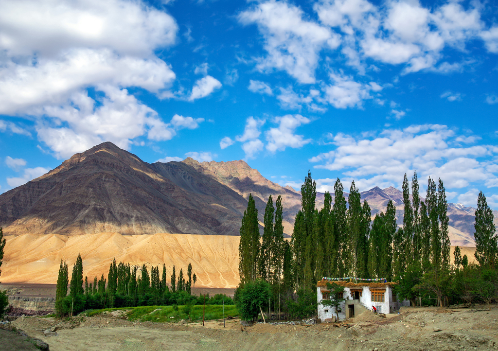 Lais Puzzle - Schöner Himalaya-Blick auf die Region Ladakh (Manali - Leh Road), Ladakh, Kaschmir, Indien - 1.000 Teile p-296153
