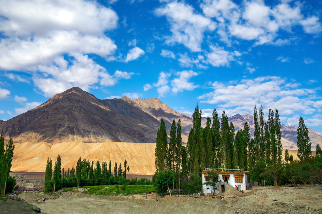 Lais Puzzle - Schöner Himalaya-Blick auf die Region Ladakh (Manali - Leh Road), Ladakh, Kaschmir, Indien - 2.000 Teile p-296154