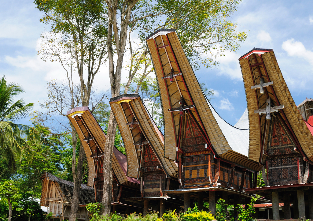 Lais Puzzle - Indonesien, Sulawesi, Tana Toraja, Traditionelles Dorf - 1.000 Teile p-296501
