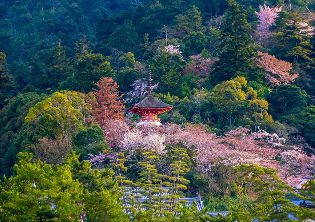 Lais Puzzle - Itsukushima-Schrein mit Sakura - 1.000 Teile p-300005