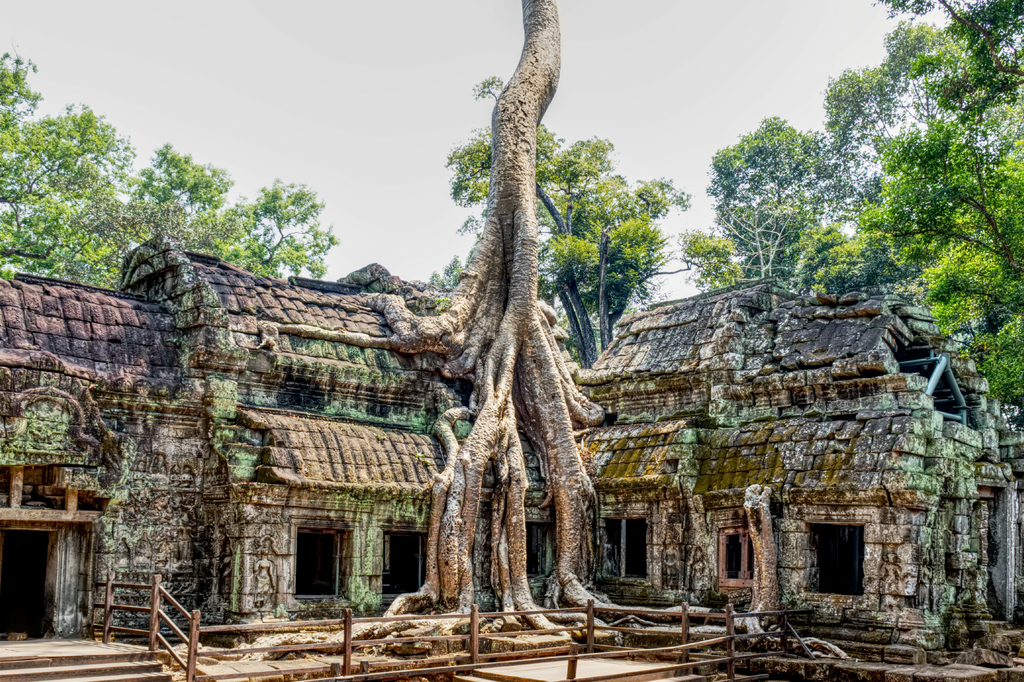 Lais Puzzle - Ta-Prohm-Tempel, Kambodscha - 2.000 Teile p-300660