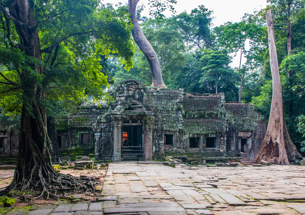 Lais Puzzle - Ta Prohm-Tempel in Angkor Kambodscha Asien - 1.000 Teile p-300743