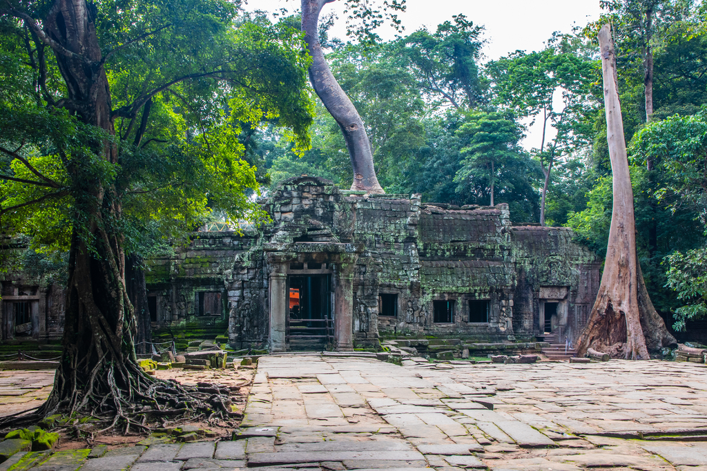 Lais Puzzle - Ta Prohm-Tempel in Angkor Kambodscha Asien - 2.000 Teile p-300744