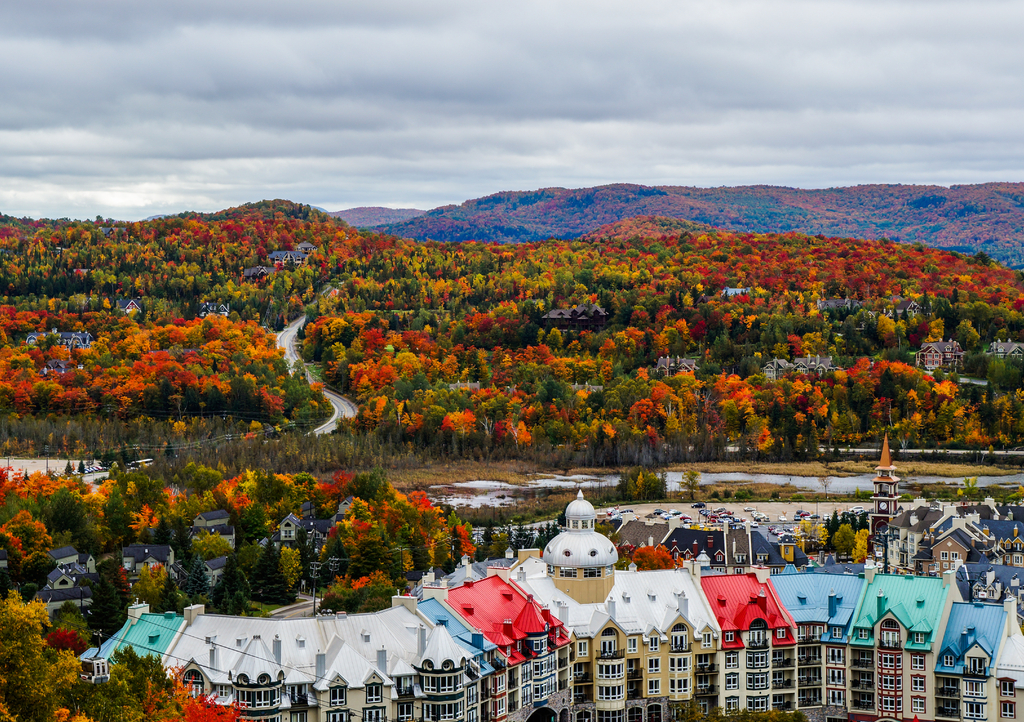 Lais Puzzle - Wunderschöne Herbstfarben in der Umgebung des Ferienortes Mont Tremblant, Québec, Kanada - 1.000 Teile p-301061