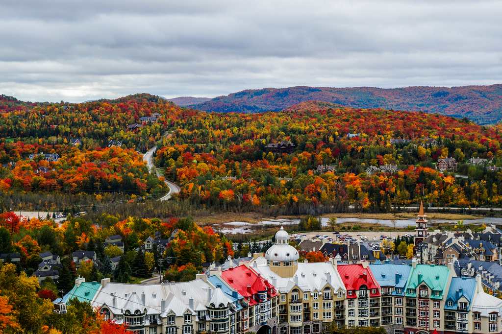 Lais Puzzle - Wunderschöne Herbstfarben in der Umgebung des Ferienortes Mont Tremblant, Québec, Kanada - 2.000 Teile p-301062