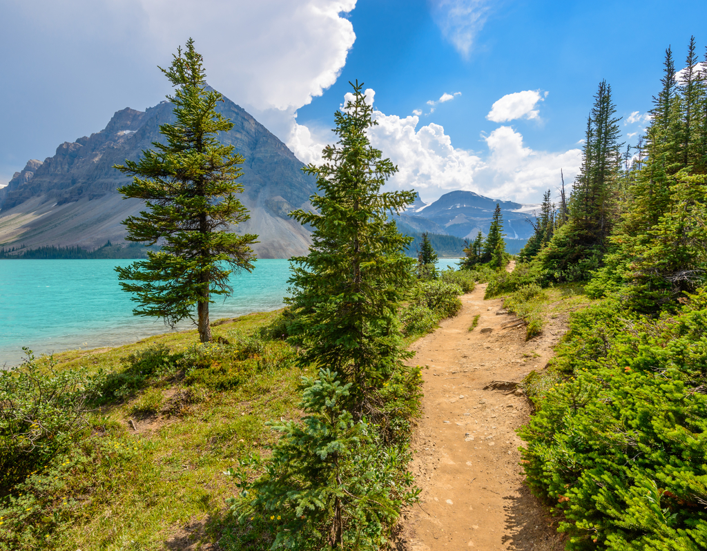 Lais Puzzle - Fragment eines Bergseewegs in Alberta, Kanada, Rocky Mountains - 40, 100, 200, 500, 1.000 & 2.000 Teile p-301783