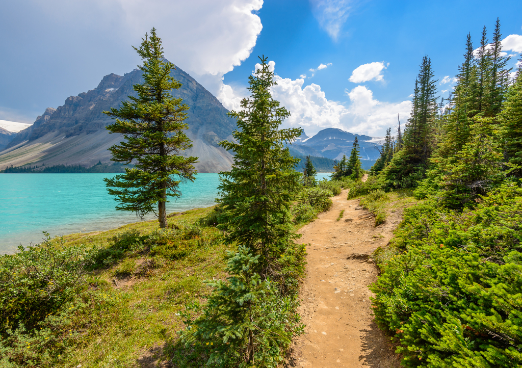 Lais Puzzle - Fragment eines Bergseewegs in Alberta, Kanada, Rocky Mountains - 1.000 Teile p-301787