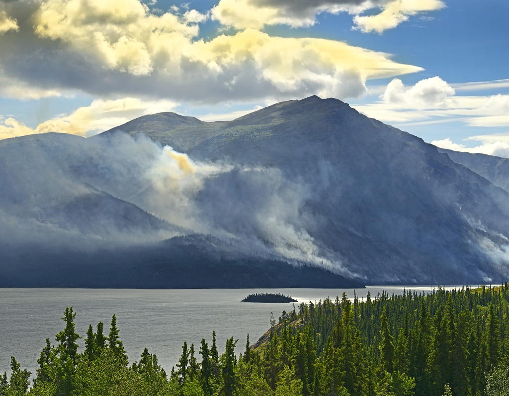 Lais Puzzle - Tagish Lake, Yukon Territorium, Kanada - 40, 100, 200, 500, 1.000 & 2.000 Teile p-301945