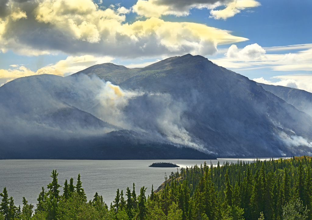 Lais Puzzle - Tagish Lake, Yukon Territorium, Kanada - 1.000 Teile p-301949