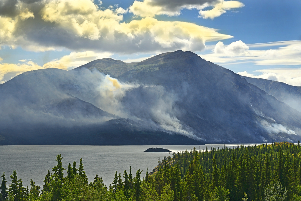Lais Puzzle - Tagish Lake, Yukon Territorium, Kanada - 2.000 Teile p-301950