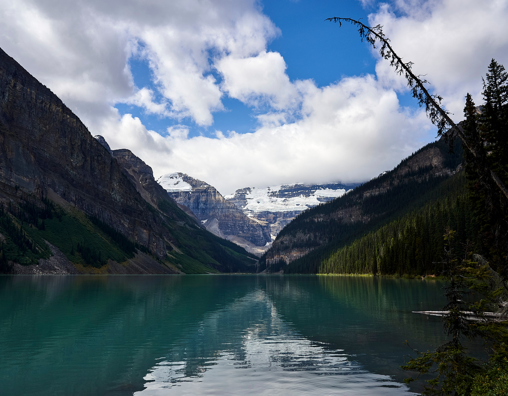 Lais Puzzle - Lake Louise im Banff-Nationalpark, Alberta, Rocky Mountains, Kanada - 40, 100, 200, 500, 1.000 & 2.000 Teile p-301951