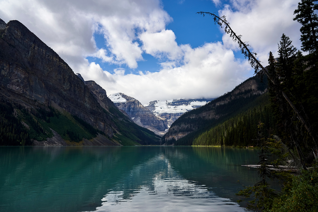 Lais Puzzle - Lake Louise im Banff-Nationalpark, Alberta, Rocky Mountains, Kanada - 2.000 Teile p-301956