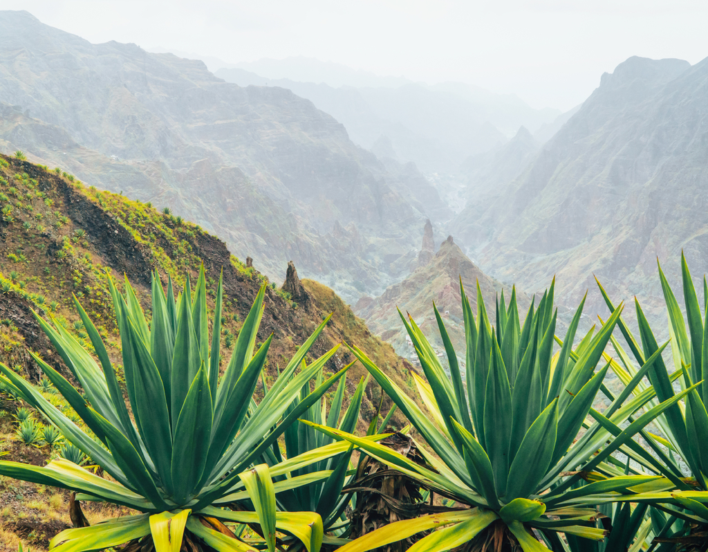 Lais Puzzle - Insel Santo Antao auf Cabo Verde. Vulkanlandschaft mit Bergkanten über dem Tal, bewachsen mit Agavenpflanzen - 40, 100, 200, 500, 1.000 & 2.000 Teile p-302359