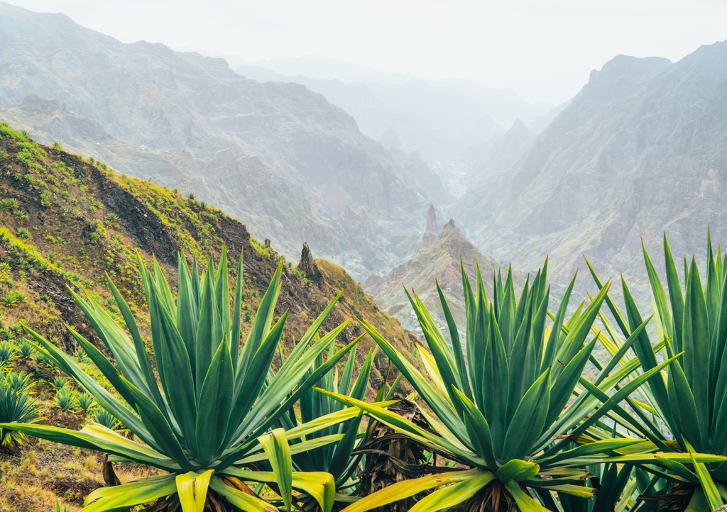 Lais Puzzle - Insel Santo Antao auf Cabo Verde. Vulkanlandschaft mit Bergkanten über dem Tal, bewachsen mit Agavenpflanzen - 1.000 Teile p-302363