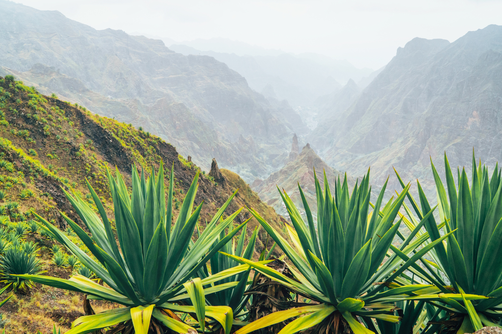 Lais Puzzle - Insel Santo Antao auf Cabo Verde. Vulkanlandschaft mit Bergkanten über dem Tal, bewachsen mit Agavenpflanzen - 2.000 Teile p-302364