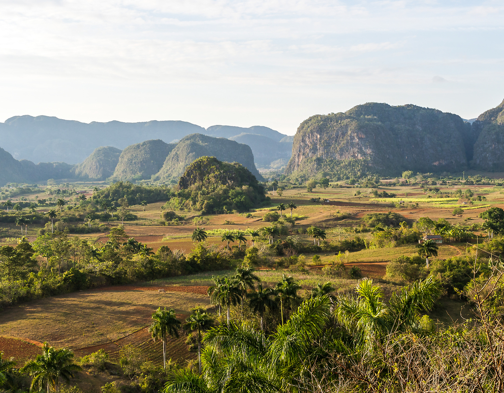 Lais Puzzle - Kuba - Tabakanbau in Vinales - 40, 100, 200, 500, 1.000 & 2.000 Teile p-303175