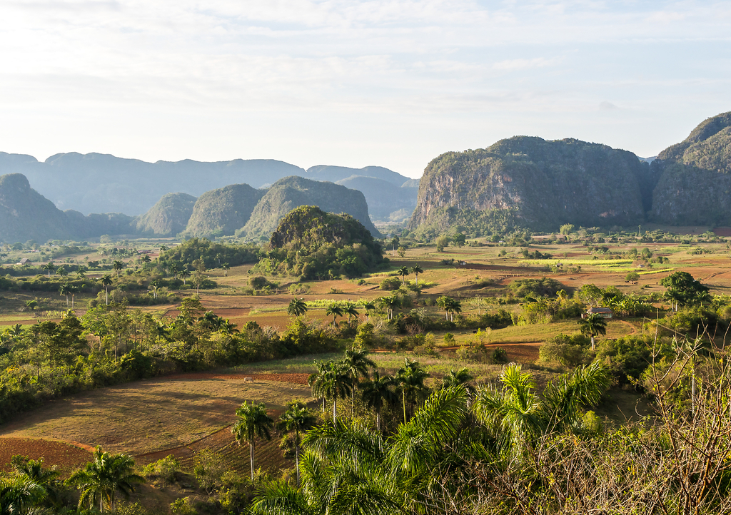 Lais Puzzle - Kuba - Tabakanbau in Vinales - 1.000 Teile p-303179