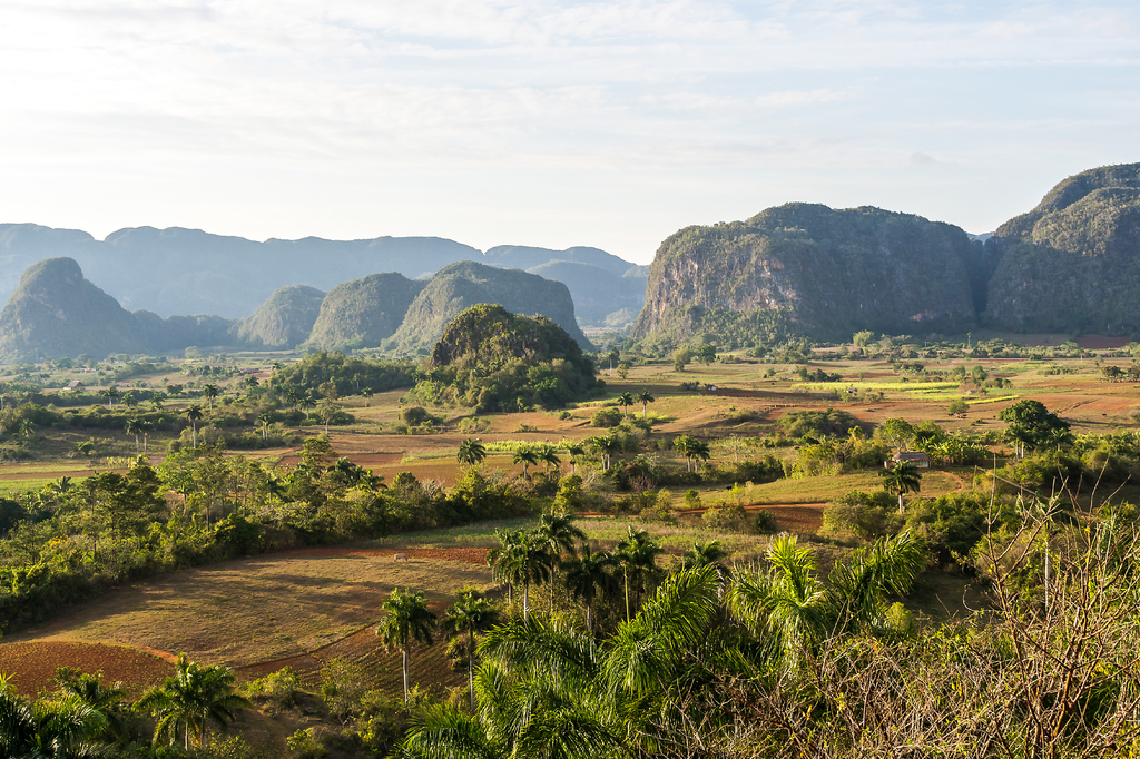 Lais Puzzle - Kuba - Tabakanbau in Vinales - 2.000 Teile p-303180