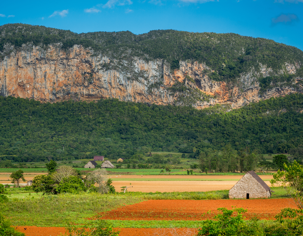Lais Puzzle - Vinales, Kuba. Tabakanbau - 40, 100, 200, 500, 1.000 & 2.000 Teile p-303241