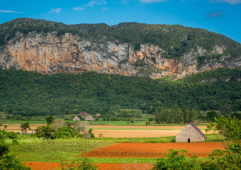Lais Puzzle - Vinales, Kuba. Tabakanbau - 1.000 Teile p-303245
