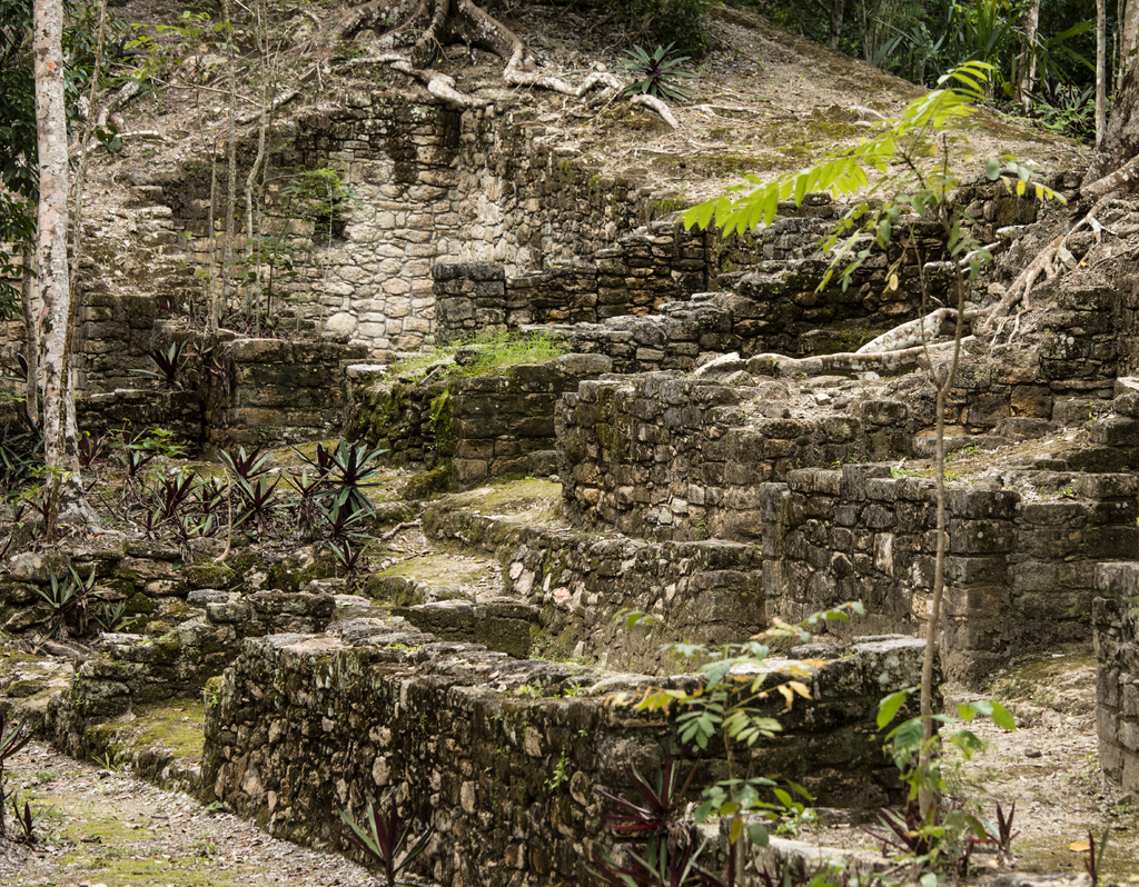 Lais Puzzle - Ruinen des Tempelkomplexes von Dzibanche in Quintana Roo, Mexiko - 40, 100, 200, 500, 1.000 & 2.000 Teile p-305647
