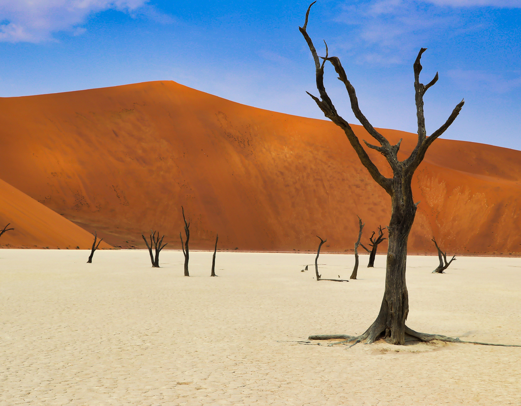 Lais Puzzle - Totes Vlei (Namib-Naukluft Park) - Namibia Afrika - 40, 100, 200, 500, 1.000 & 2.000 Teile p-306577