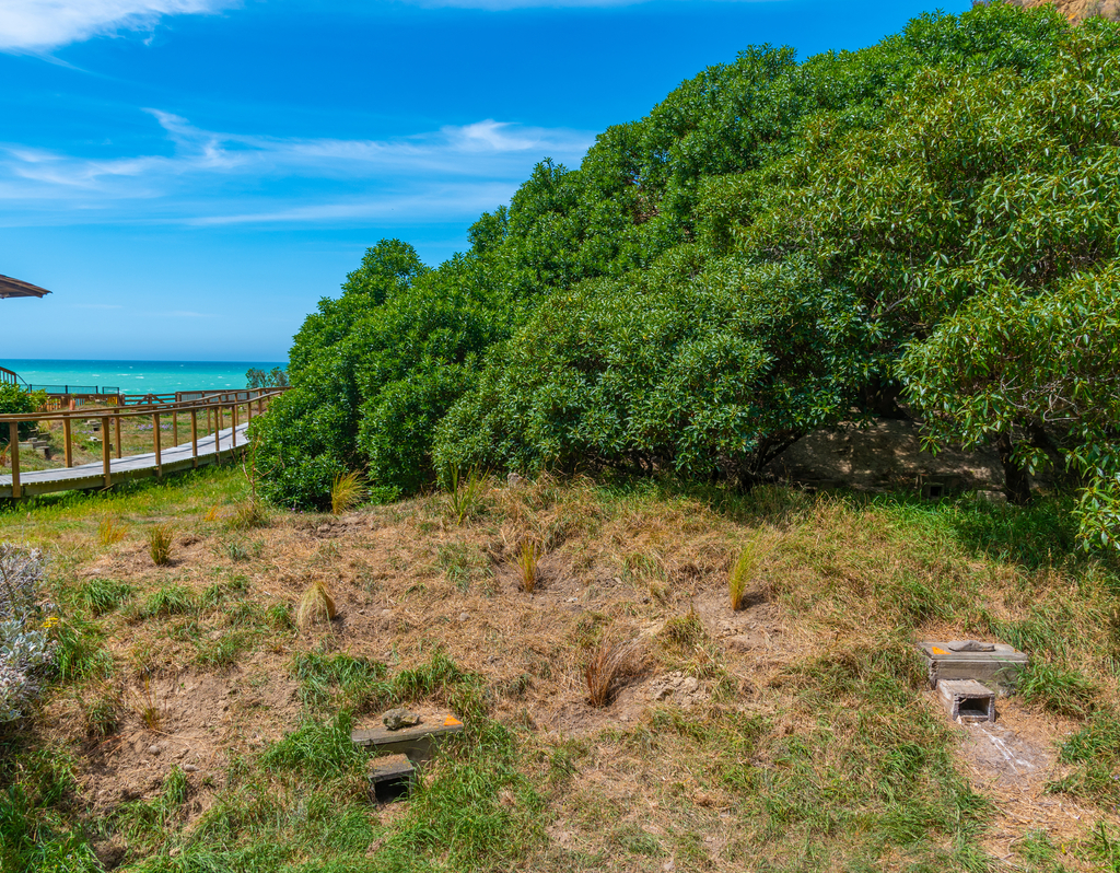 Lais Puzzle - Beobachtungsgebiet der Oamaru Blue Penguin Colony in Neuseeland - 40, 100, 200, 500, 1.000 & 2.000 Teile p-307489