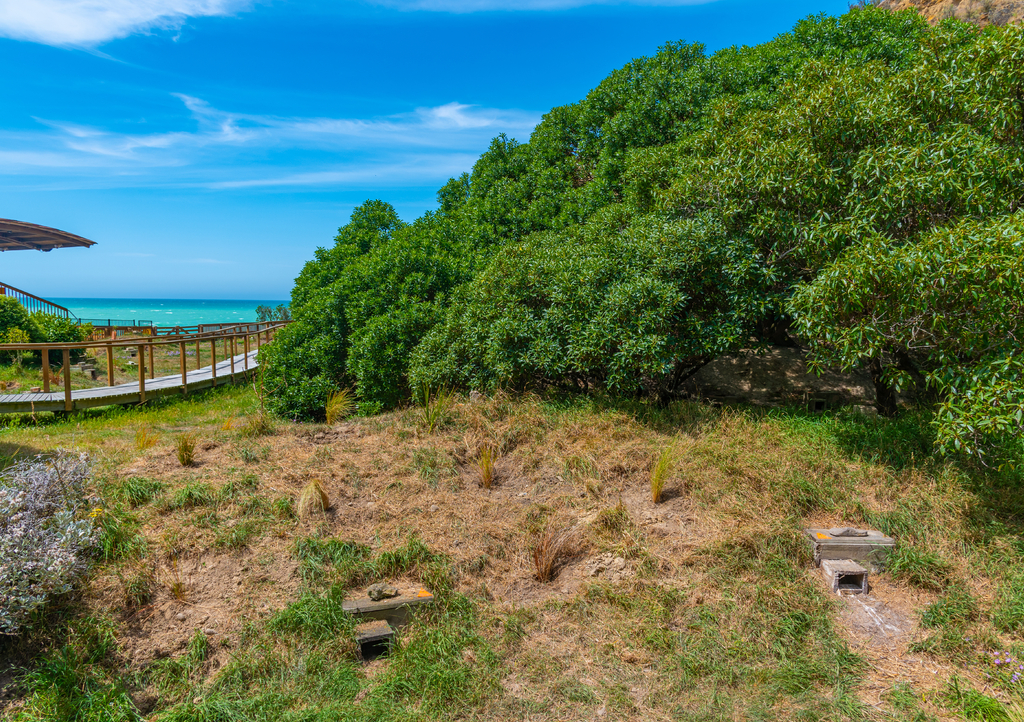 Lais Puzzle - Beobachtungsgebiet der Oamaru Blue Penguin Colony in Neuseeland - 1.000 Teile p-307493